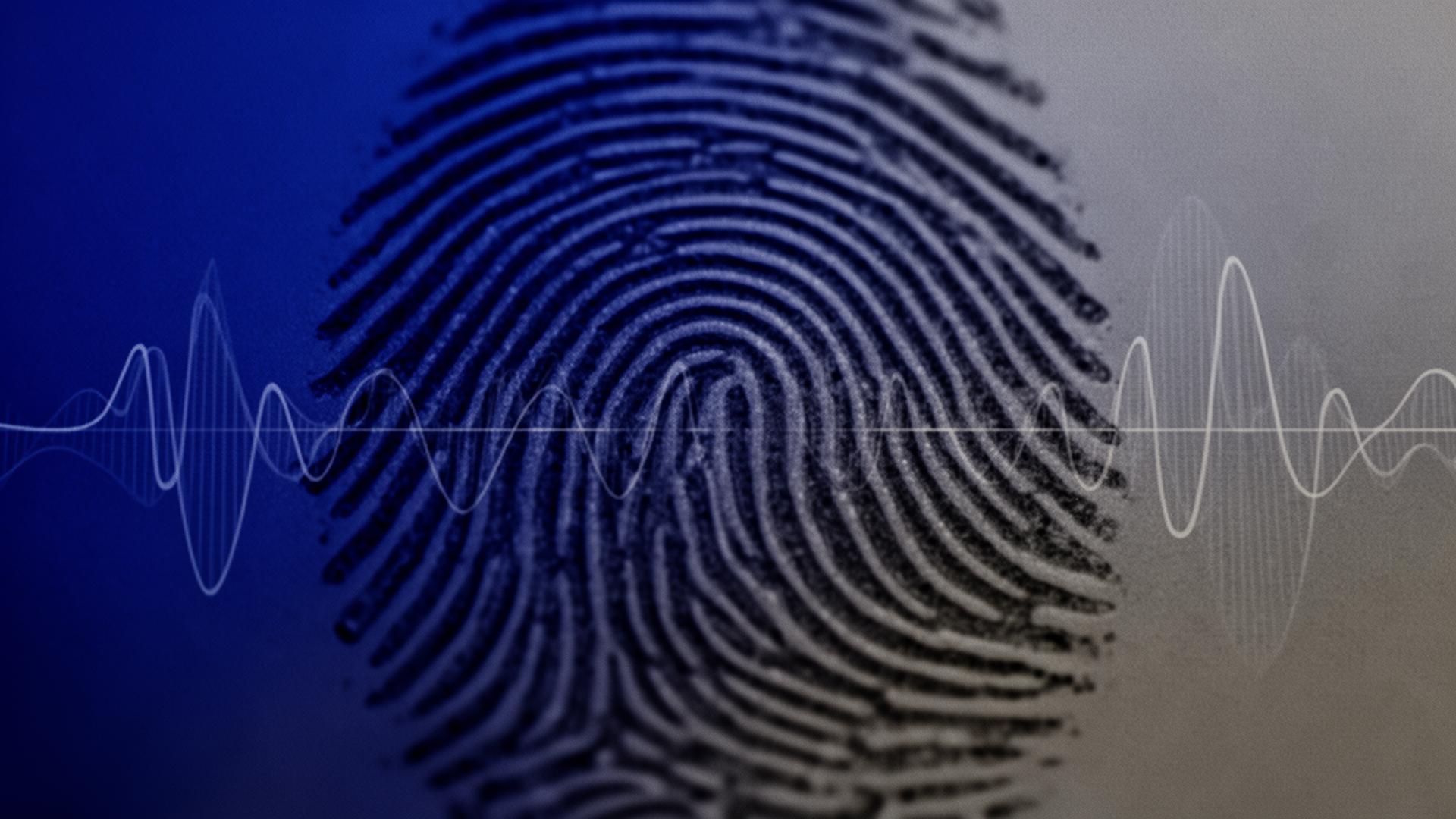Análisis forense y dactiloscópico